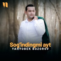 Постер песни Yahyobek Bozorov - Sog'indingmi ayt