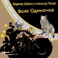 Постер песни Владимир Песня - Волк одиночка