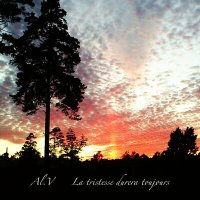 Постер песни Al.V - La tristesse durera toujours (Single edit)