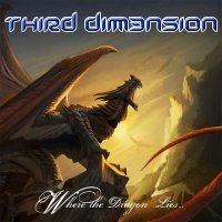 Постер песни Third Dimension - Too Late