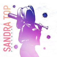 Постер песни Sandra Top - Ромашки