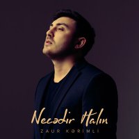 Постер песни Zaur Kərimli - Necədir Halın