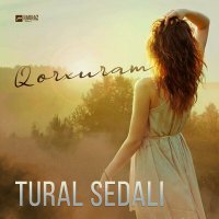 Постер песни Tural Sedalı - Qorxuram