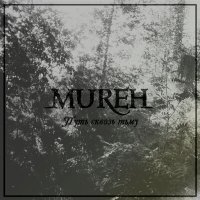 Постер песни Mureh - Истерия