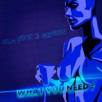 Постер песни Slavique Green - What You Need?