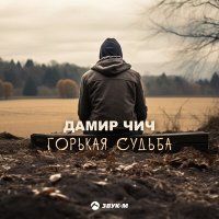 Постер песни Дамир Чич - Горькая судьба