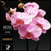 Постер песни Alisher - Sea ​​Breeze (Original Mix)