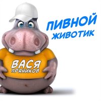 Постер песни Вася Пряников - Пивной животик