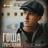 Постер песни Гоша Грачевский - Пассажир