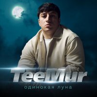 Постер песни TeeMur - Одинокая луна