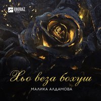 Постер песни Малика Алдамова - Хьо веза бохуш