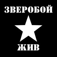 Постер песни Зверобой - Свобода