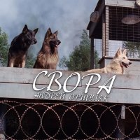 Постер песни Андрей Оршуляк - Свора