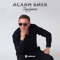 Постер песни Аслан Биев - Голубушка