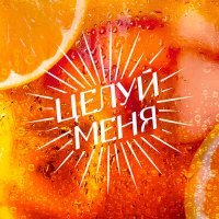 Постер песни Люся Чеботина - Целуй Меня (SAlANDIR Remix)