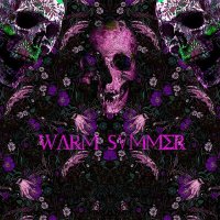 Постер песни Rikki Rill - Warm Summer