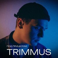 Постер песни Trimmus - Под прицелом