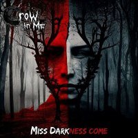 Постер песни Crow In Me - Miss Darkness come