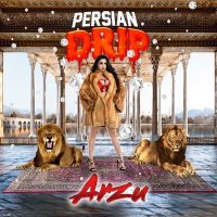 Постер песни Arzu - Persian Drip