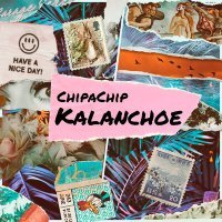 Постер песни ChipaChip - Kalanchoe