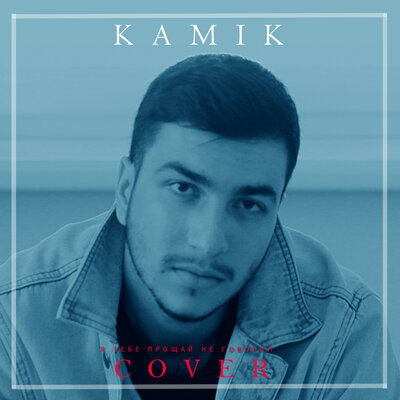 Постер песни kamik - Я тебе прощай не говорил
