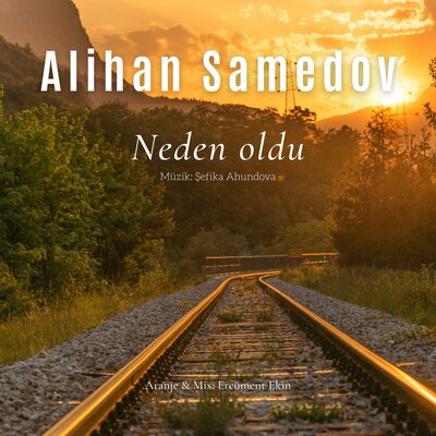 Постер песни Alihan Samedov - Neden oldu