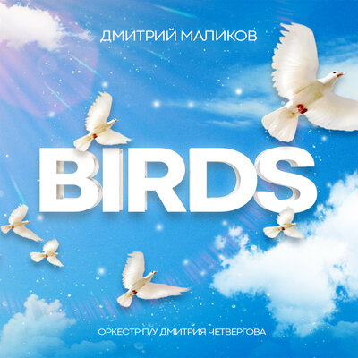 Постер песни Дмитрий Маликов, Оркестр п/у Дмитрия Четвергова - Birds
