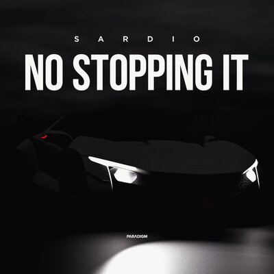 Постер песни SARDIO - No Stopping It